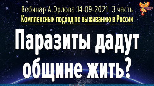 Паразиты дадут общине жить? 
