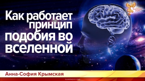 Как работает принцип подобия во Вселенной