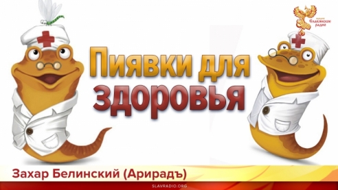 Пиявки для здоровья