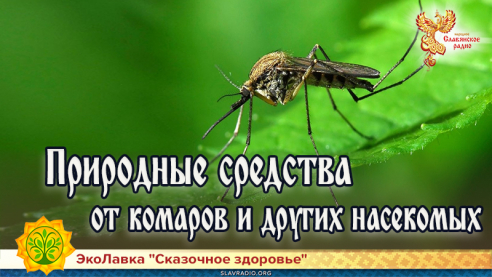 Природные средства от комаров и других насекомых