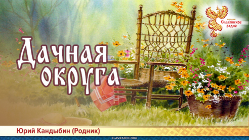 Дачная округа