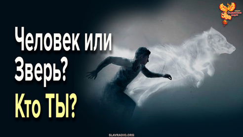 Кто ТЫ? Человек или Зверь? Подчини себе своё животное и стань человеком