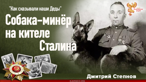 Собака-минёр на кителе Сталина