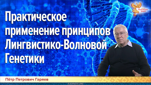 Практическое применение принципов Лингвистико-Волновой Генетики