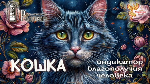 Кошка — индикатор благополучия человека