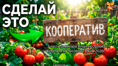 Сделай это! Как построить успешный кооператив  