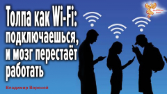 Толпа как Wi-Fi: подключаешься, и мозг перестаёт работать