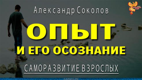 Опыт и его осознание. Александр Соколов