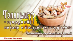 Топинамбур – природный инулин и победитель борщевика