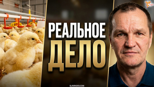 Репортаж с Первого Объекта. Птичник в работе