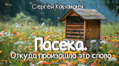 Пасека. Откуда произошло это слово