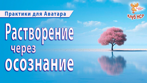 Практики для Аватара. Растворение через осознание