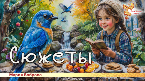 Сюжеты 
