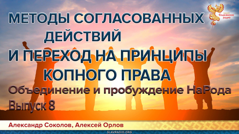 Объединение и пробуждение НаРода. Выпуск 8. Методы согласованных действий и переход на принципы КОПного права