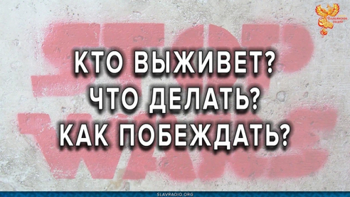 Кто выживет? Что делать? Как побеждать?