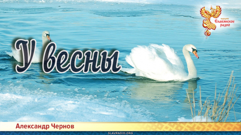 У весны 