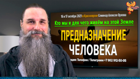 Когда определять предназначение человека? Алексей Орлов
