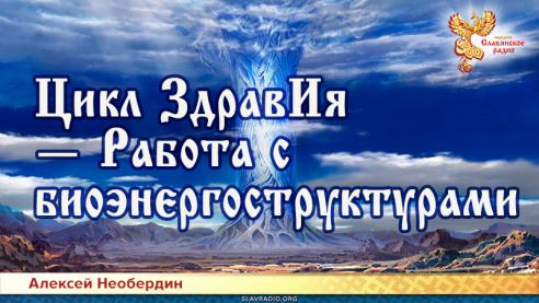 Цикл ЗдравИя — Работа с биоэнергоструктурами