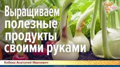 Выращиваем полезные продукты своими руками