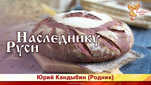 Наследнику Руси 