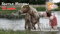 13 июня