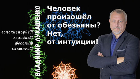 Человек произошёл от обезьяны? Нет, от интуиции!