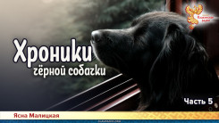 Хроники чёрной собачки. Часть 5
