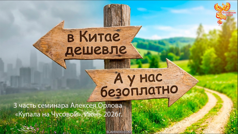 Почему в Китае дешевле, а у нас бесплатно?