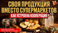 Своя продукция вместо супермаркетов. Как устроена кооперация