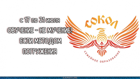 Всероссийская благотворительная образовательная онлайн-платформа "Сокол-Дар"