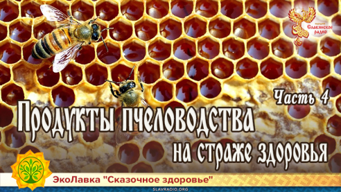 Продукты пчеловодства на страже здоровья. Часть 4. Про пчёл и настоящий мёд